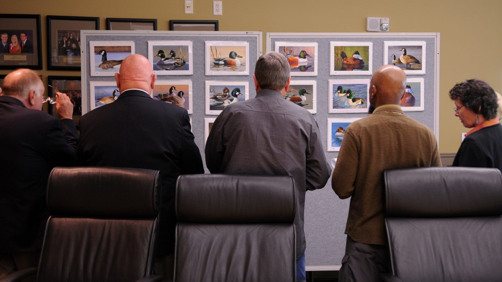 federal-duck-stamp-contest