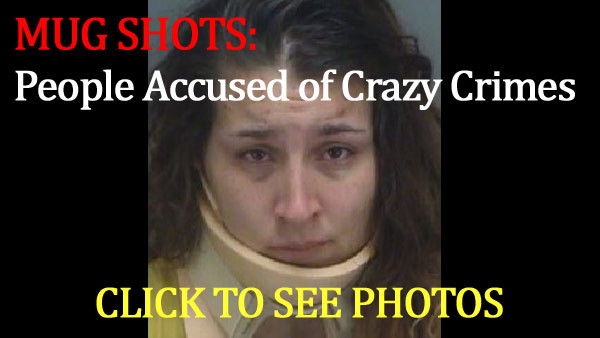 CLICK-MUG-SHOTS-CRAZY-CRIME
